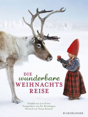 Die wunderbare Weihnachtsreise