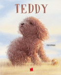 Teddy