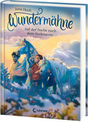 Wundermähne - 2. Auf der Suche nach dem Seelenpony