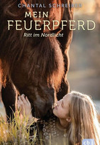 Mein Feuerpferd: Ritt im Nordlicht