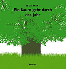 Ein Baum geht durch das Jahr