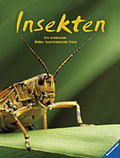 Insekten