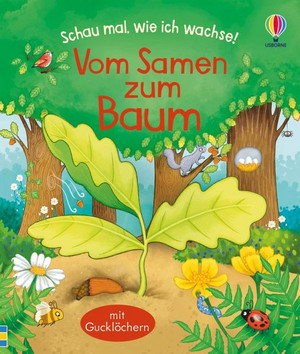 Vom Samen zum Baum