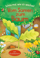 Vom Samen zum Baum