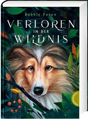 Verloren in der Wildnis