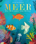 Meer