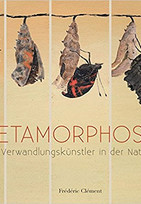 Metamorphosen