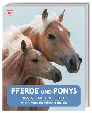 Pferde und Ponys