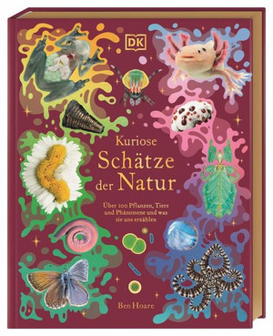 Kuriose Schätze der Natur