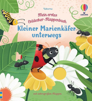 Kleiner Marienkäfer unterwegs