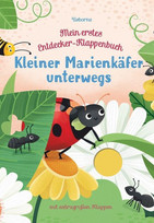 Kleiner Marienkäfer unterwegs