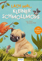 Lach mal, kleiner Schmollmops