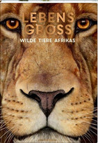 Lebensgroß: Wilde Tiere Afrikas