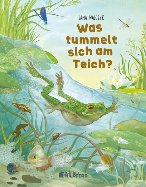 Jana Walczyk Was tummelt sich am Teich? KinderbuchCouch.de