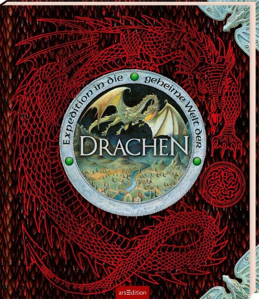 Expedition In Die Geheime Welt Der Drachen Ernest Drake: Expedition in die geheime Welt der Drachen - Kinderbuch